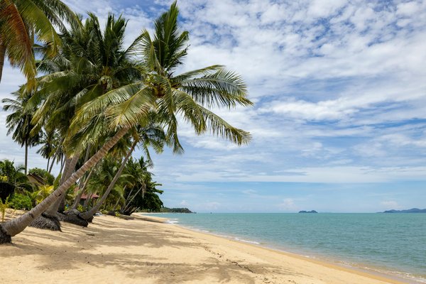 Partez à la découverte des 10 campings abordables incontournables à travers la france
