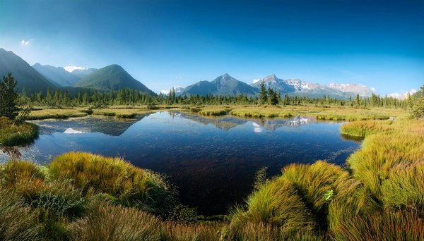 Découvrez le wi-fi : votre guide indispensable pour rester connecté en camping aventureux