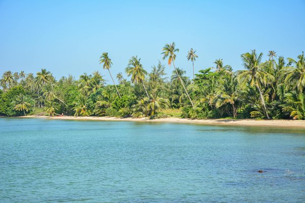 Quelles innovations émergent dans l'hôtellerie moderne ?